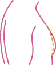 Image-Breast
